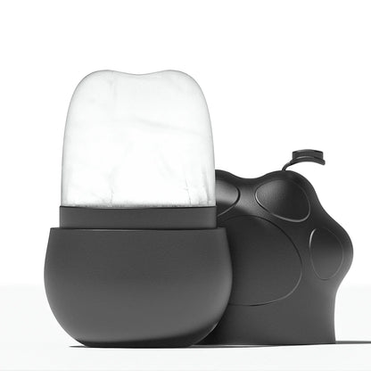 Ice Face Roller - L&L Shop
