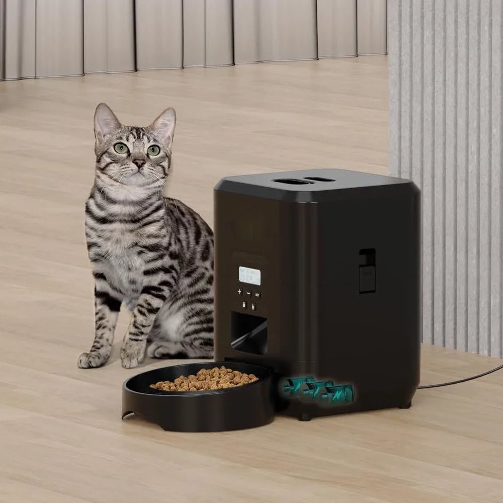 Automatic Pet Feeder - L&L Shop