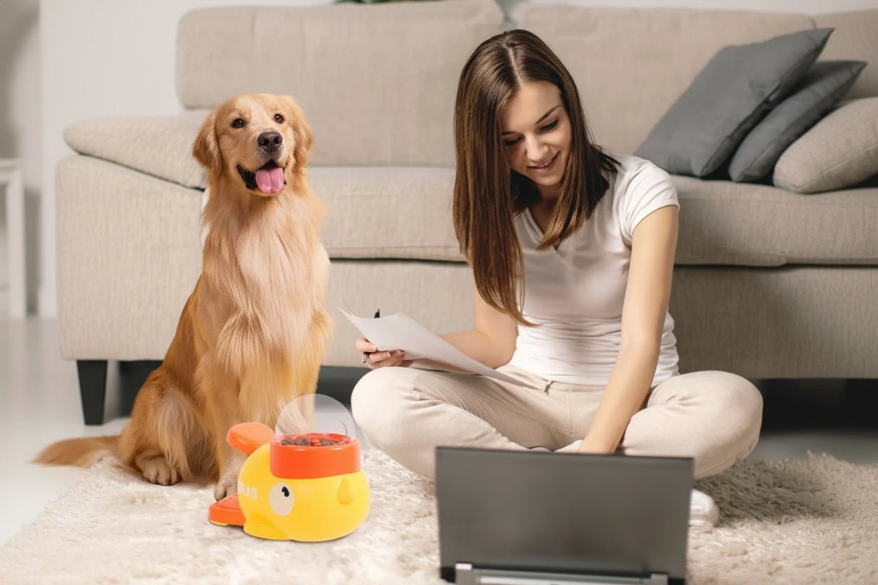 Interactive Puzzle Treat Feeder - L&L Shop