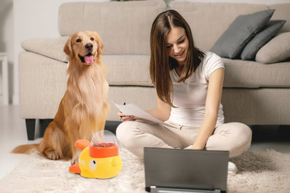 Interactive Puzzle Treat Feeder - L&L Shop