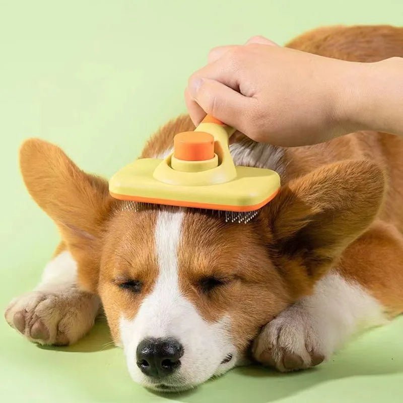 Self Cleaning Grooming Brush - L&L Shop