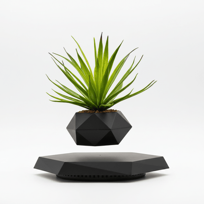Magnetic Levitating Plant Pot – Floating Rotating Planter for Succulents, Bonsai & Air Plants, Home & Office Decor - L&L Shop