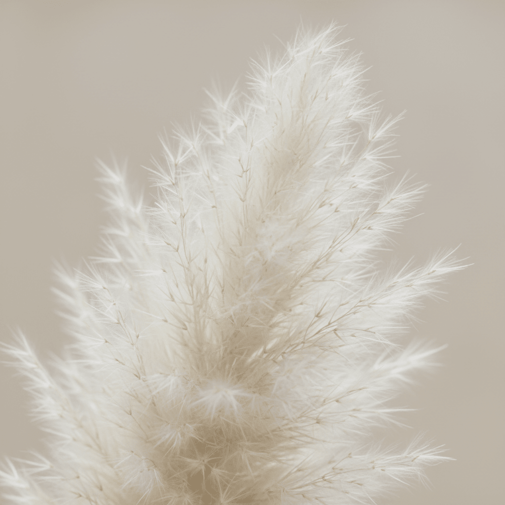 White Pampas Grass Bouquet - L&L Shop