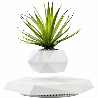 Magnetic Levitating Plant Pot – Floating Rotating Planter for Succulents, Bonsai & Air Plants, Home & Office Decor - L&L Shop